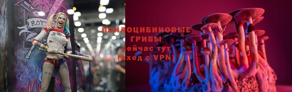 дмт Тобольск